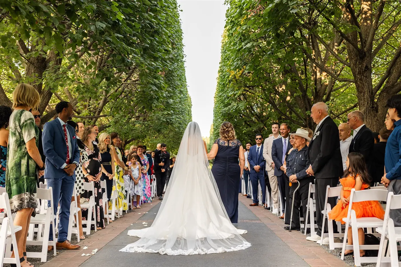Bride's cathedral veil trailing down a tree-lined aisle as guests rise at a wedding planned by Michigan Avenue Events