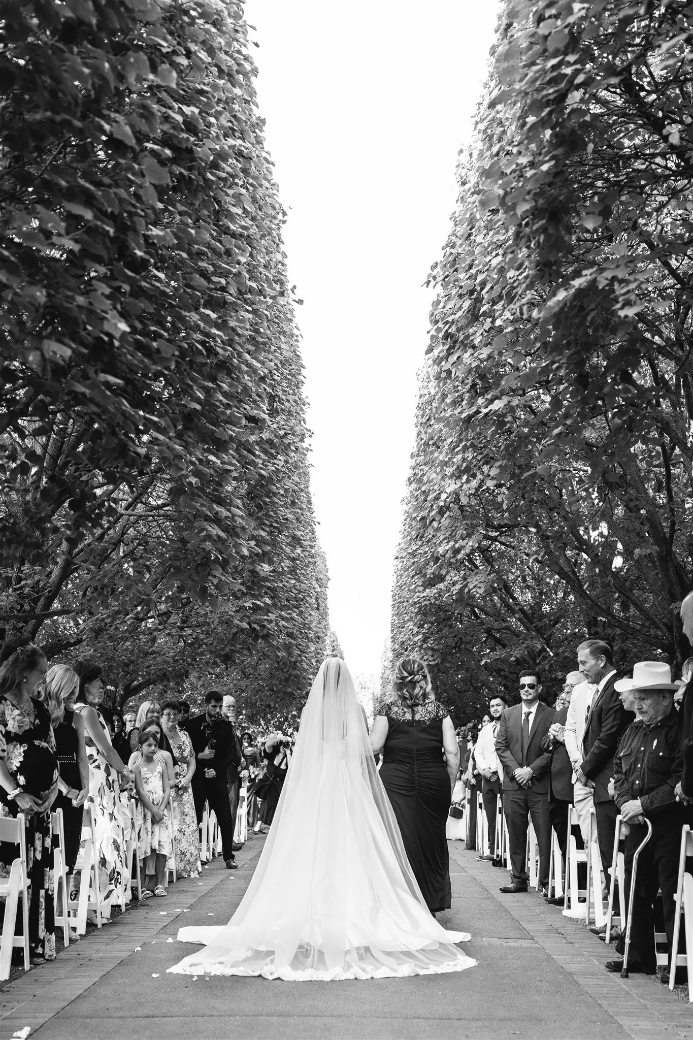 Bride walking the tree-lined aisle at Megan and Alex's Botanic Garden wedding
