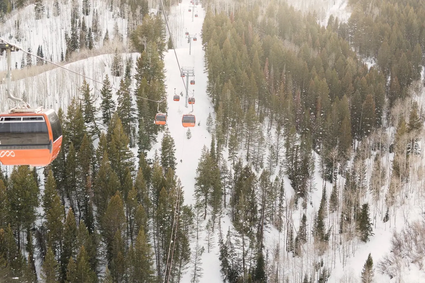 Orange gondolas over snowy forest near Rian and Matt's wedding